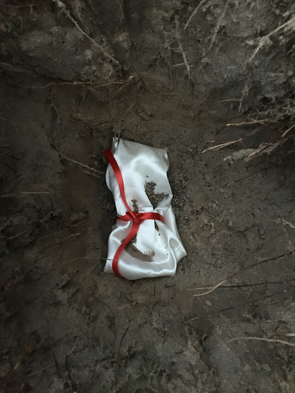 Juniper's Bird
Photographed burial of a bird wrapped in fabric with ribbon and lavender on silk
42x61 inches
2021