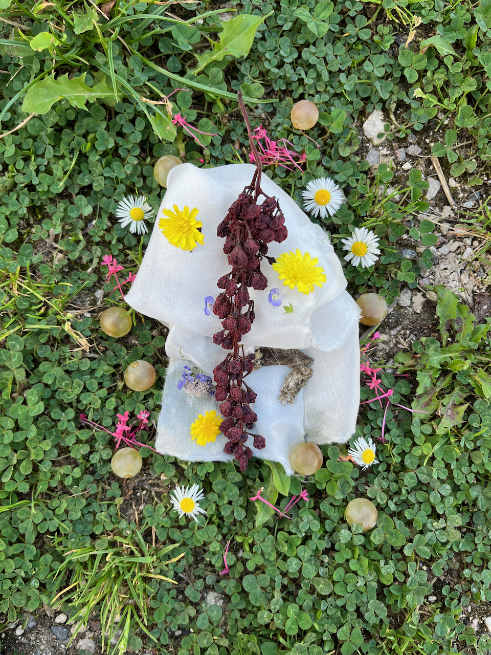 Papier De Crapaud
Photographed ceremony of a toad wrapped in silk and native offerings of Orquevaux, France, on silk
42x61 inches
2023