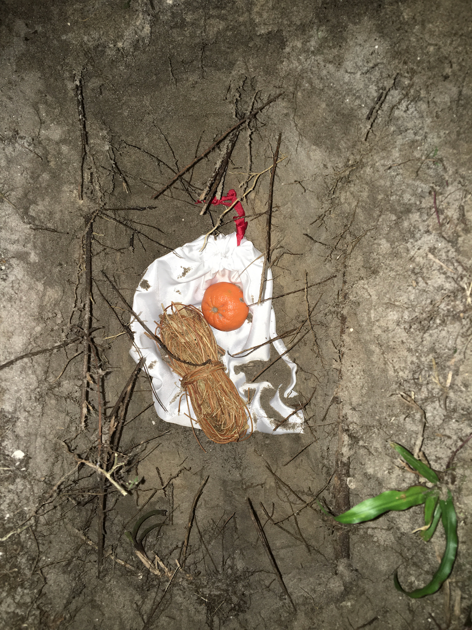 Two Mice And A Snake
Photographed burial of two mice and a snake in fabric with an orange and a prayer bundle on silk
42x61 inches
2021