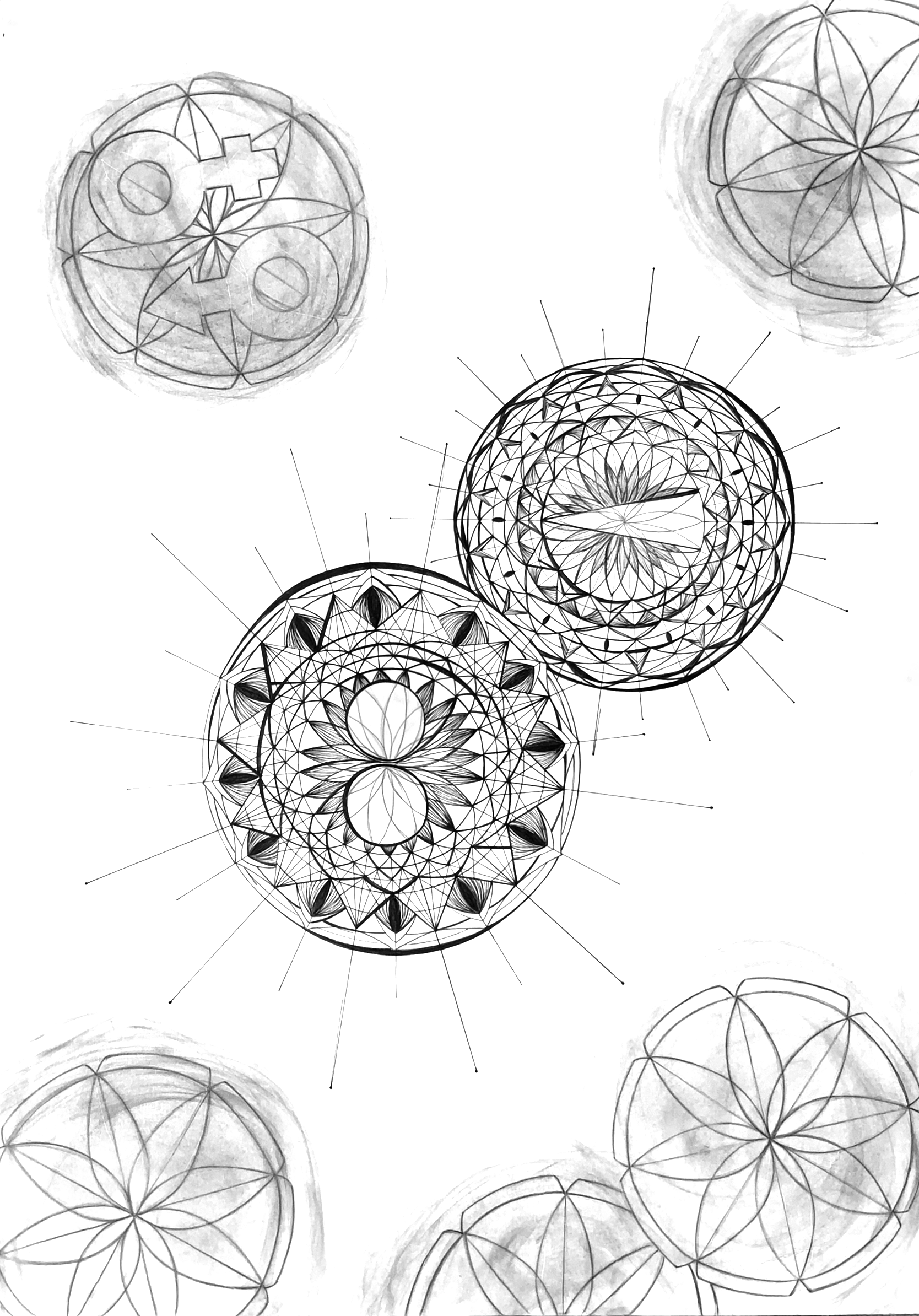 IMG_9654.png