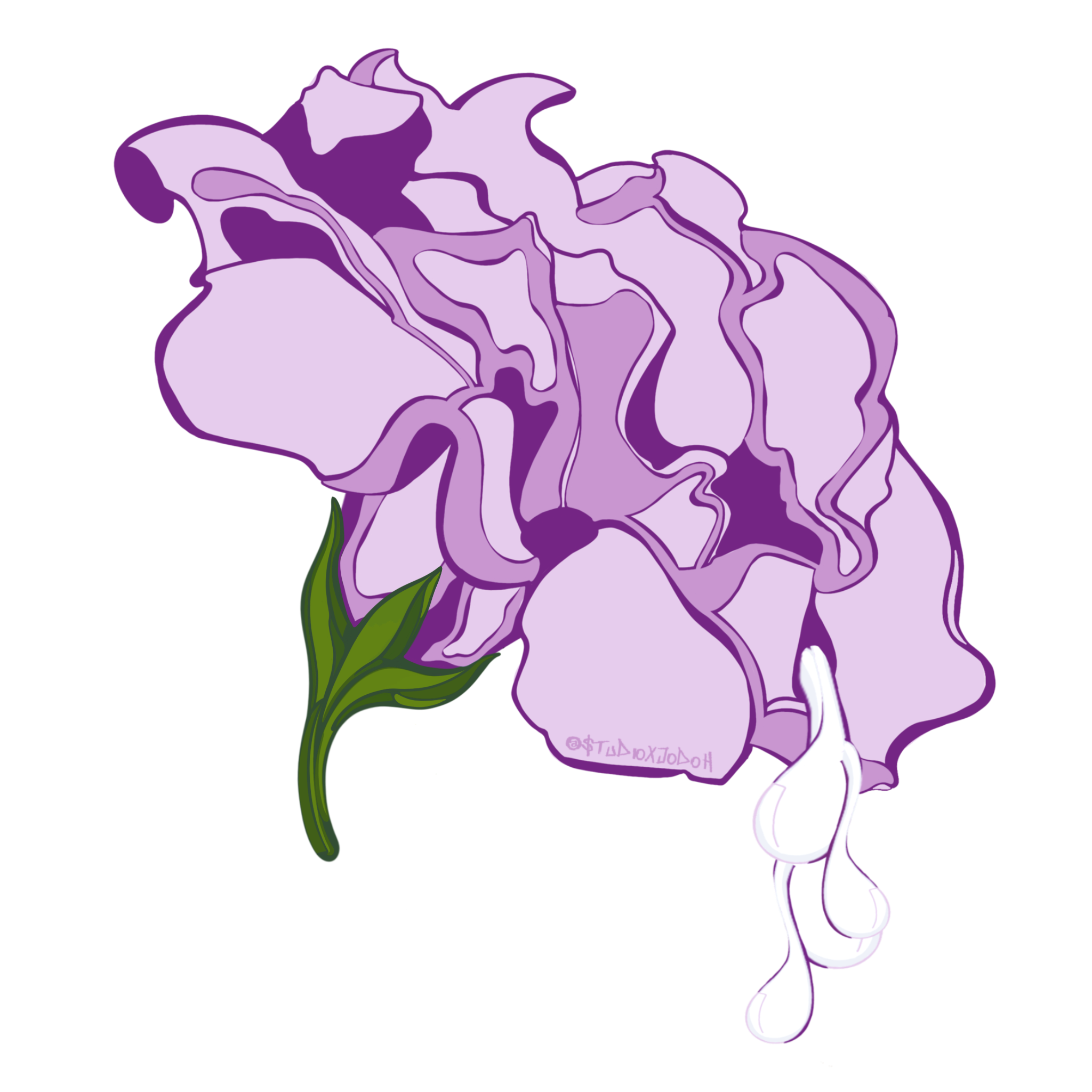 IMG_7106.png