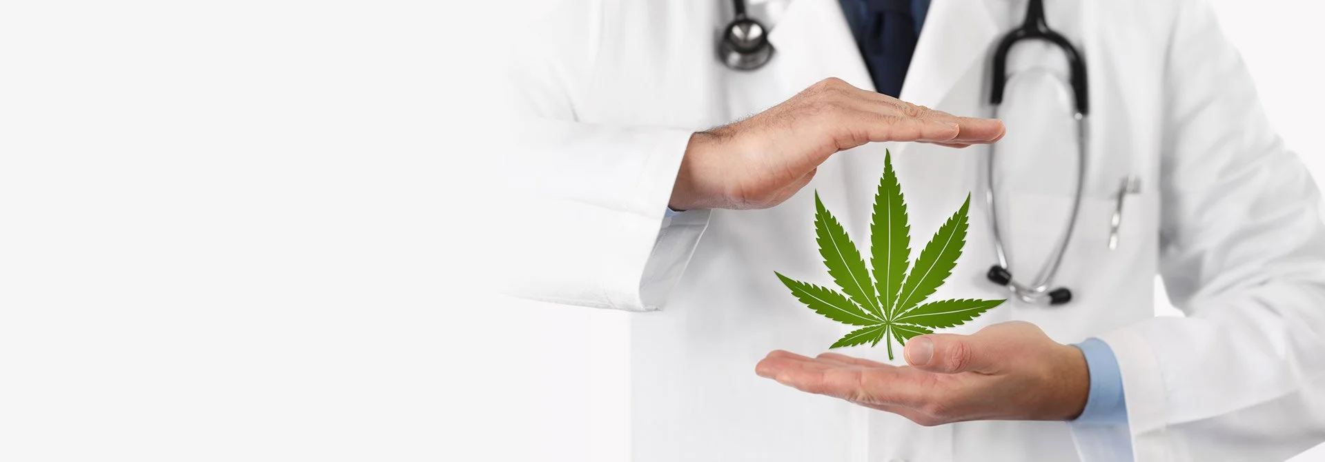 Greenfield Medicine Tampa