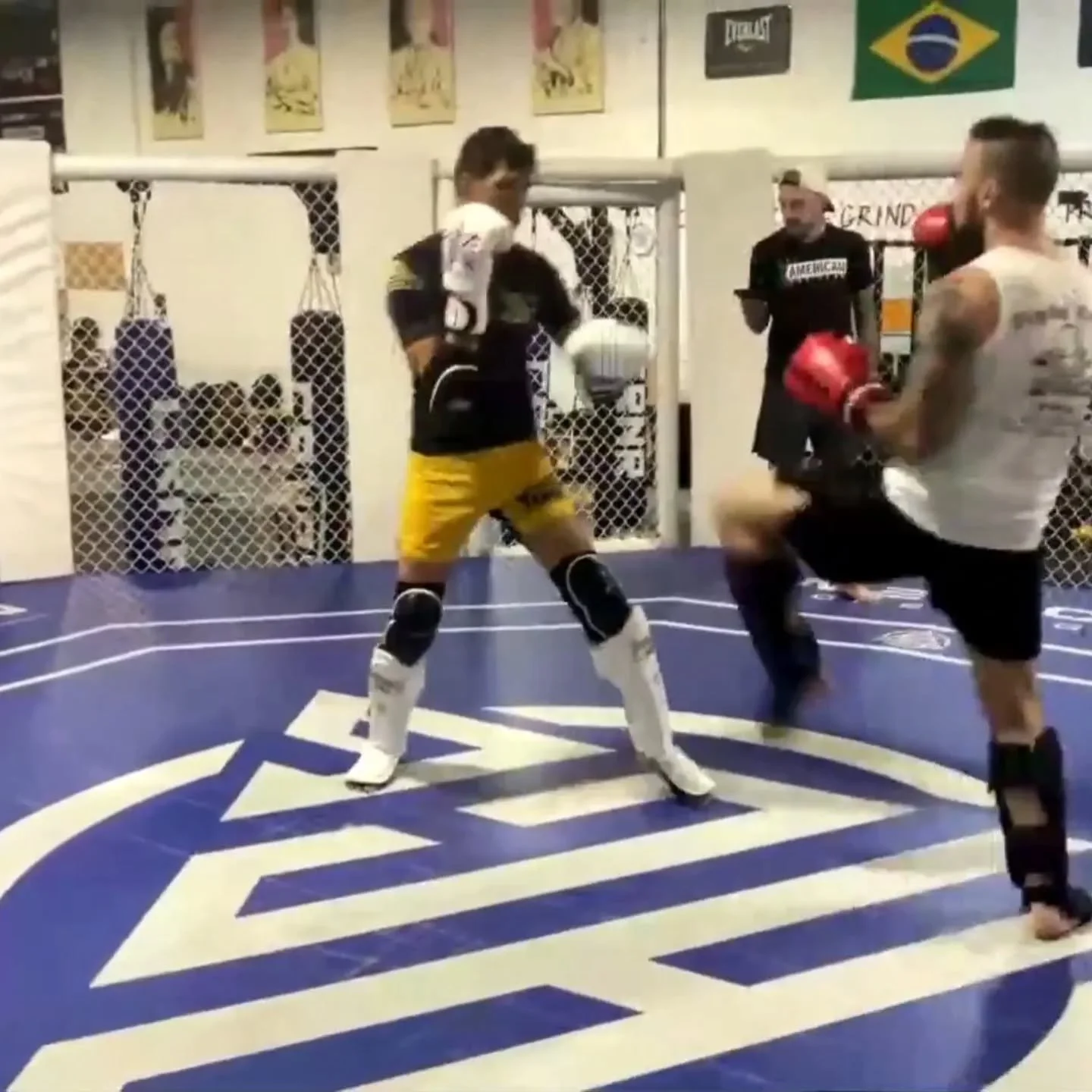 mma-training-cage-birmingham-fight-club.jpg.jpg
