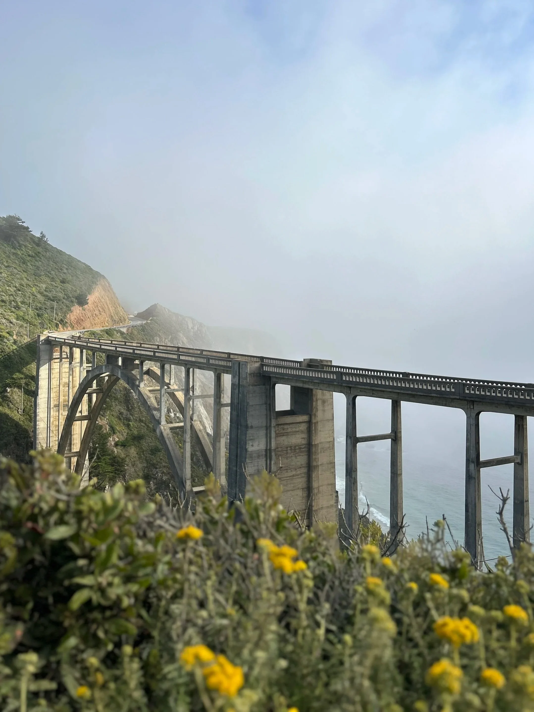 A bridge over the ocean with a hillside on the left, spanning from the foreground to the foggy horizon, with yellow flowers in the foreground.
