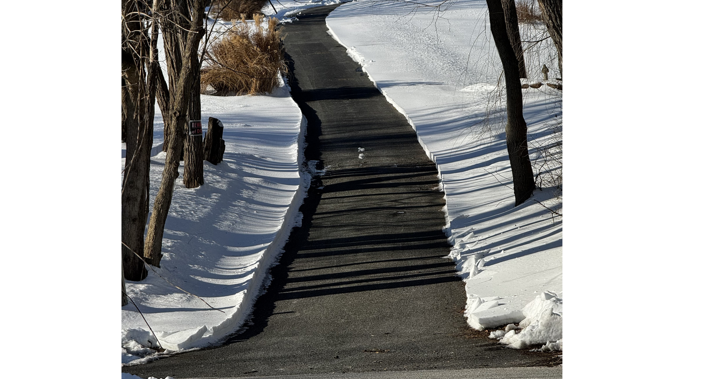 Untitled design (46).png