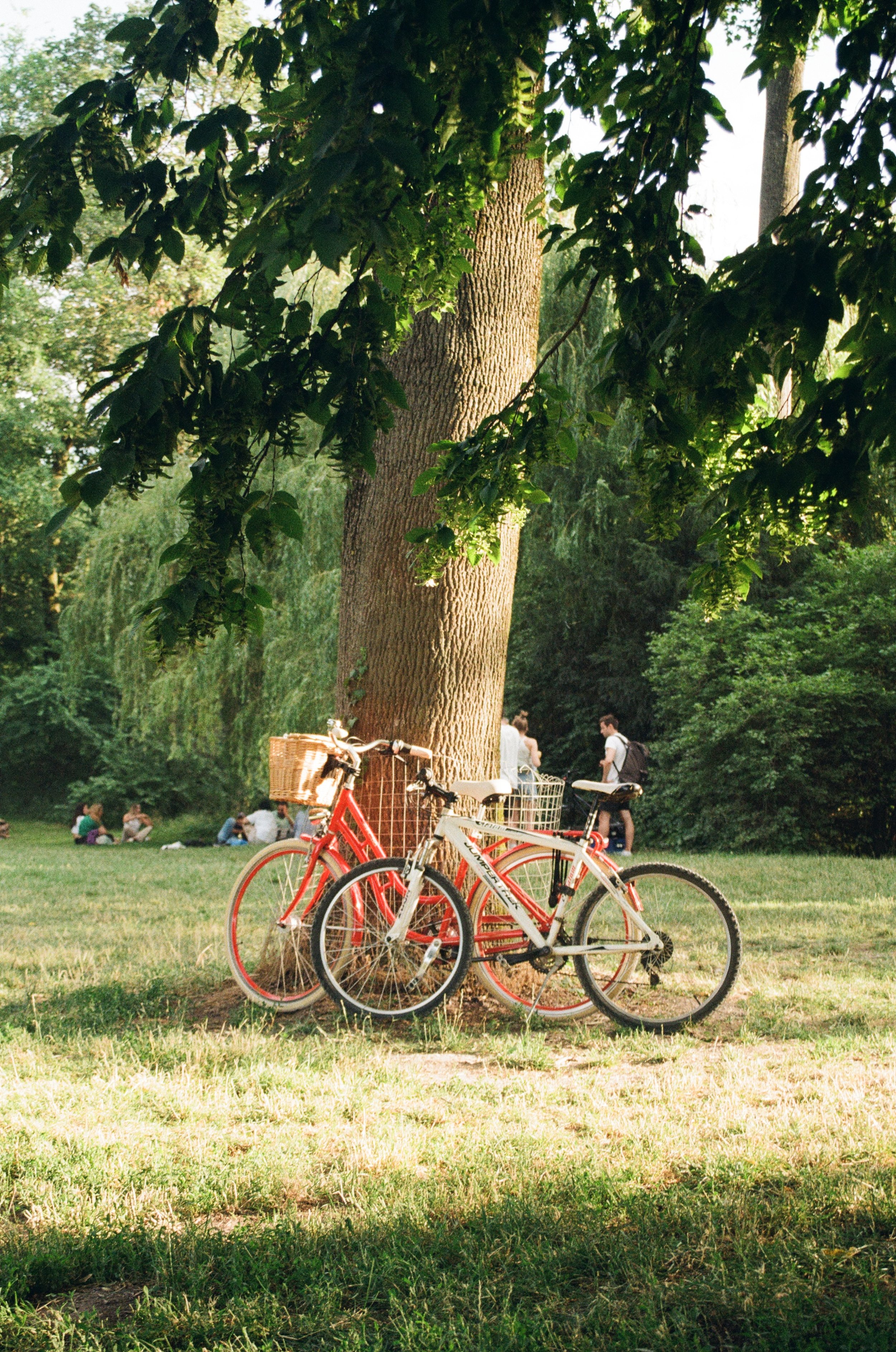 Munich , Germany