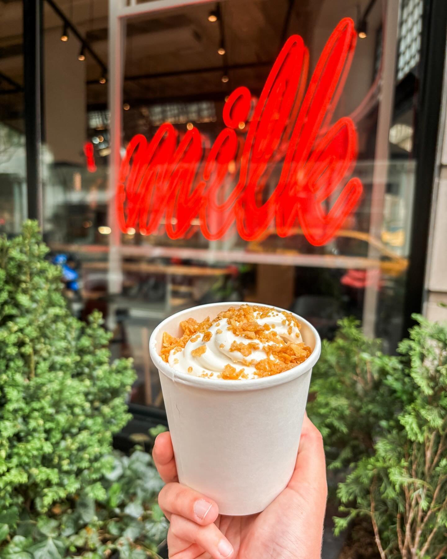 Pilgrimage🍦🍪 

1. Cereal Milk Soft serve 
2. Cookies (controversial opinion inbound) 

Doctor on speed dial for this trip cause lord y&rsquo;all are going to kill me with these serving sizes.