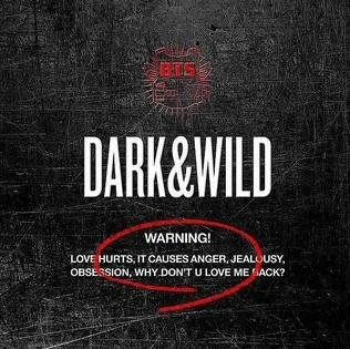 BTS_Dark_and_Wild.jpg