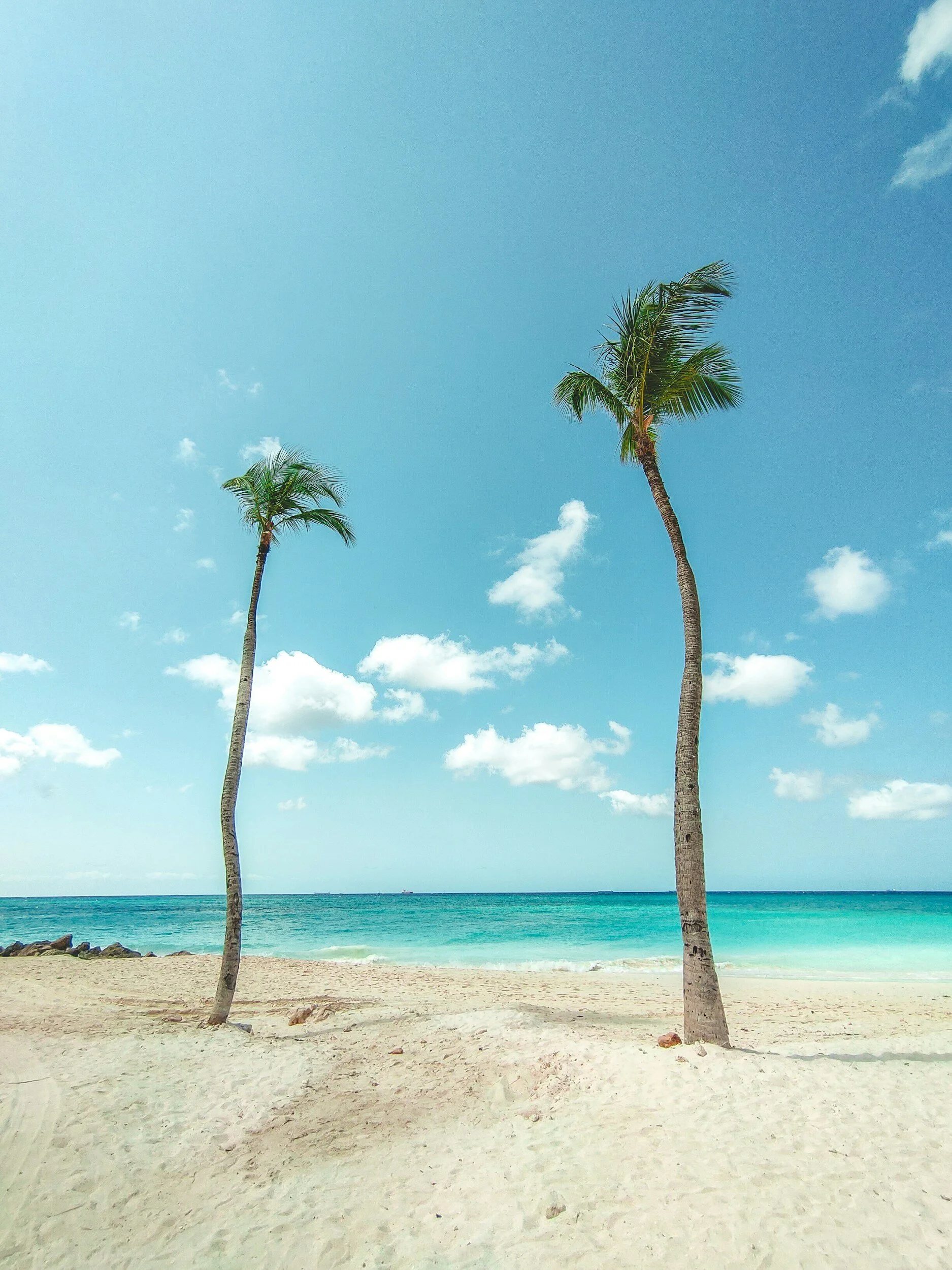 Two tall palm trees on a sandy beach with blue ocean and sky in the background.