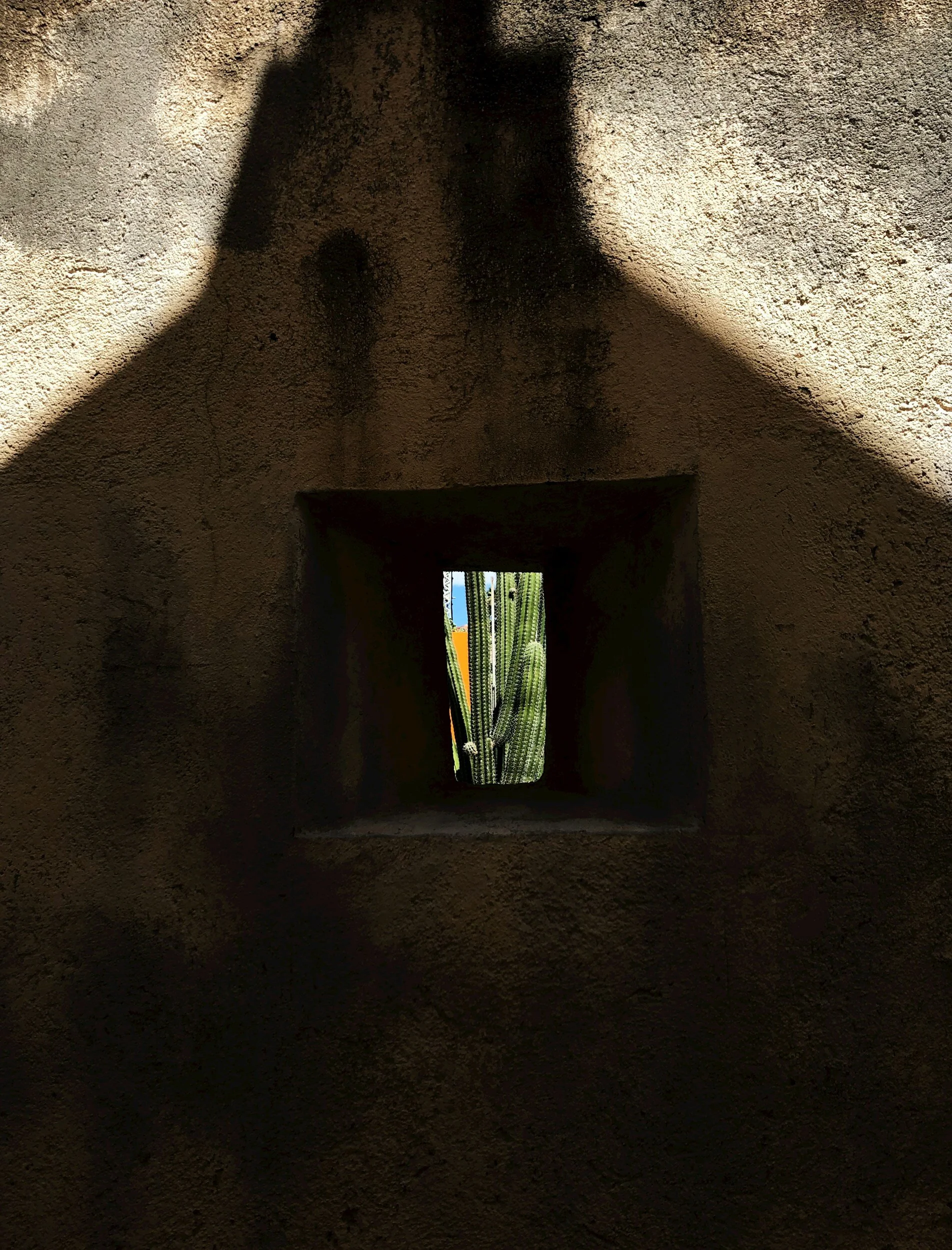 View through a small square opening in a textured wall, revealing a cactus and a colorful background.