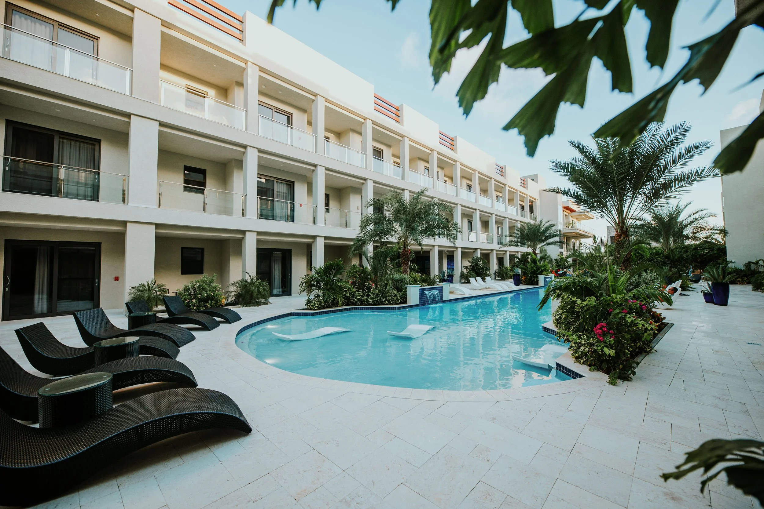 A hotel pool area with poolside lounge chairs, tropical plants, palm trees, and a modern, white, multi-story building in the background.