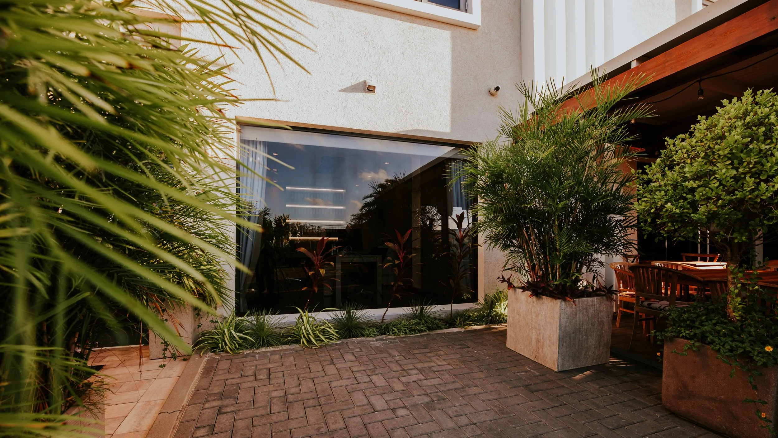 Outdoor patio area on a sunny day with large potted plants, trees, and wooden furniture, adjacent to a building with a large glass window reflecting the sky.