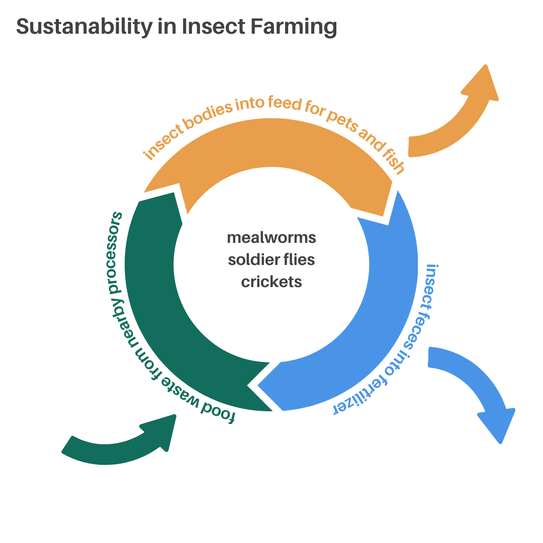 Insect Racing The Real Reason for the Insect Farming Race — Center for Environmental ...