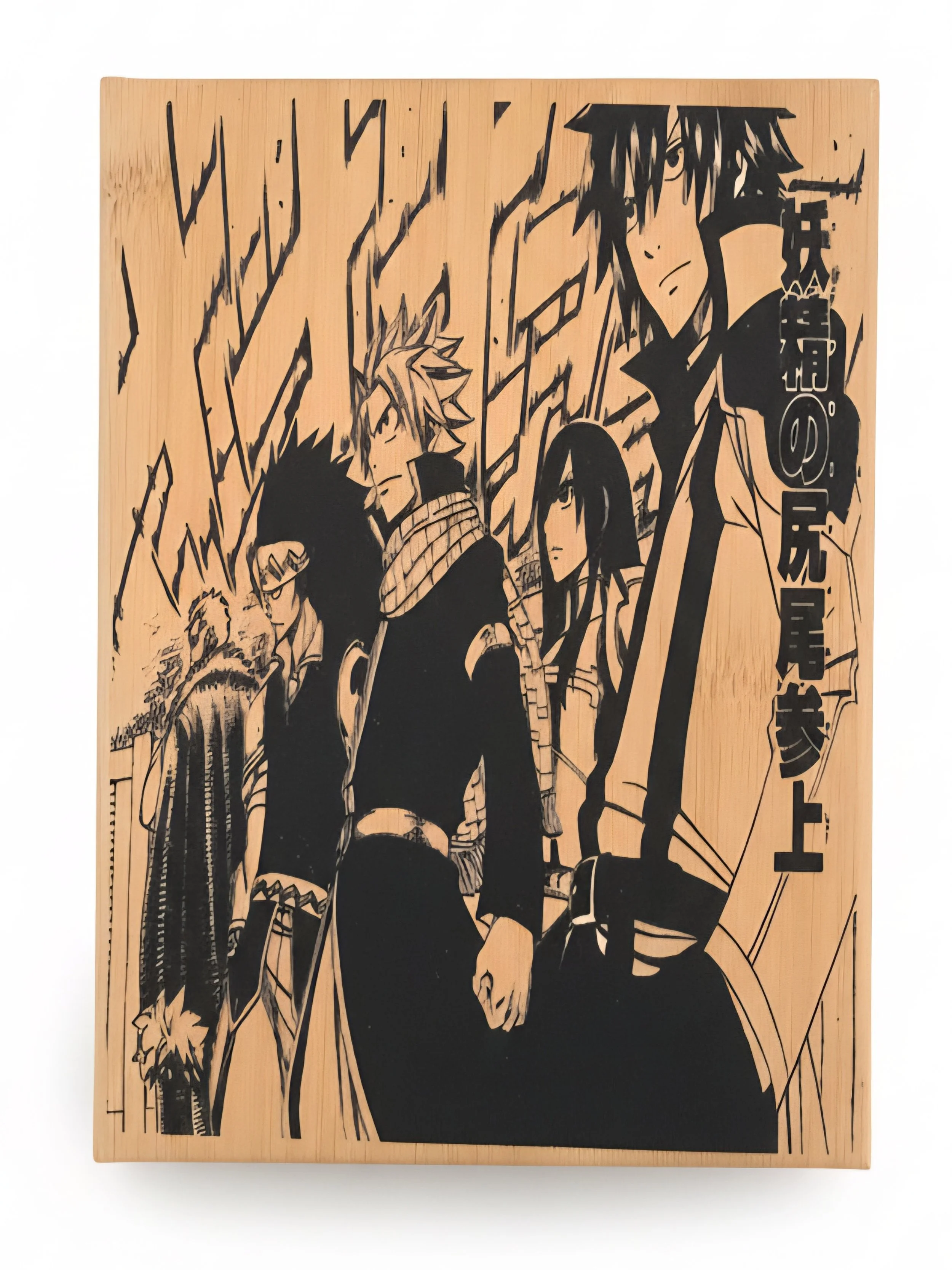 Fairy Tail Journal/Sketchpad