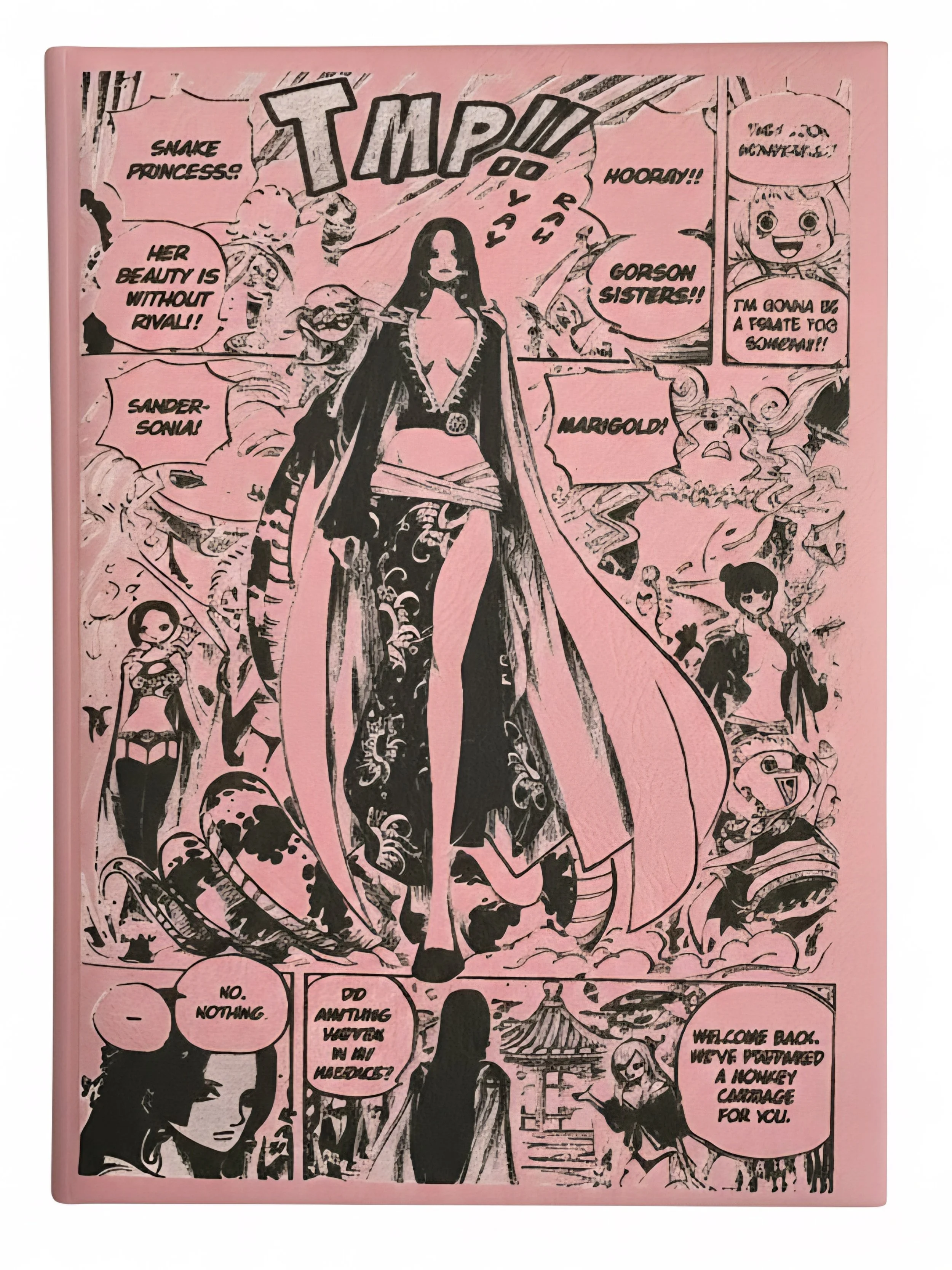 One Piece Journal/Sketchpad