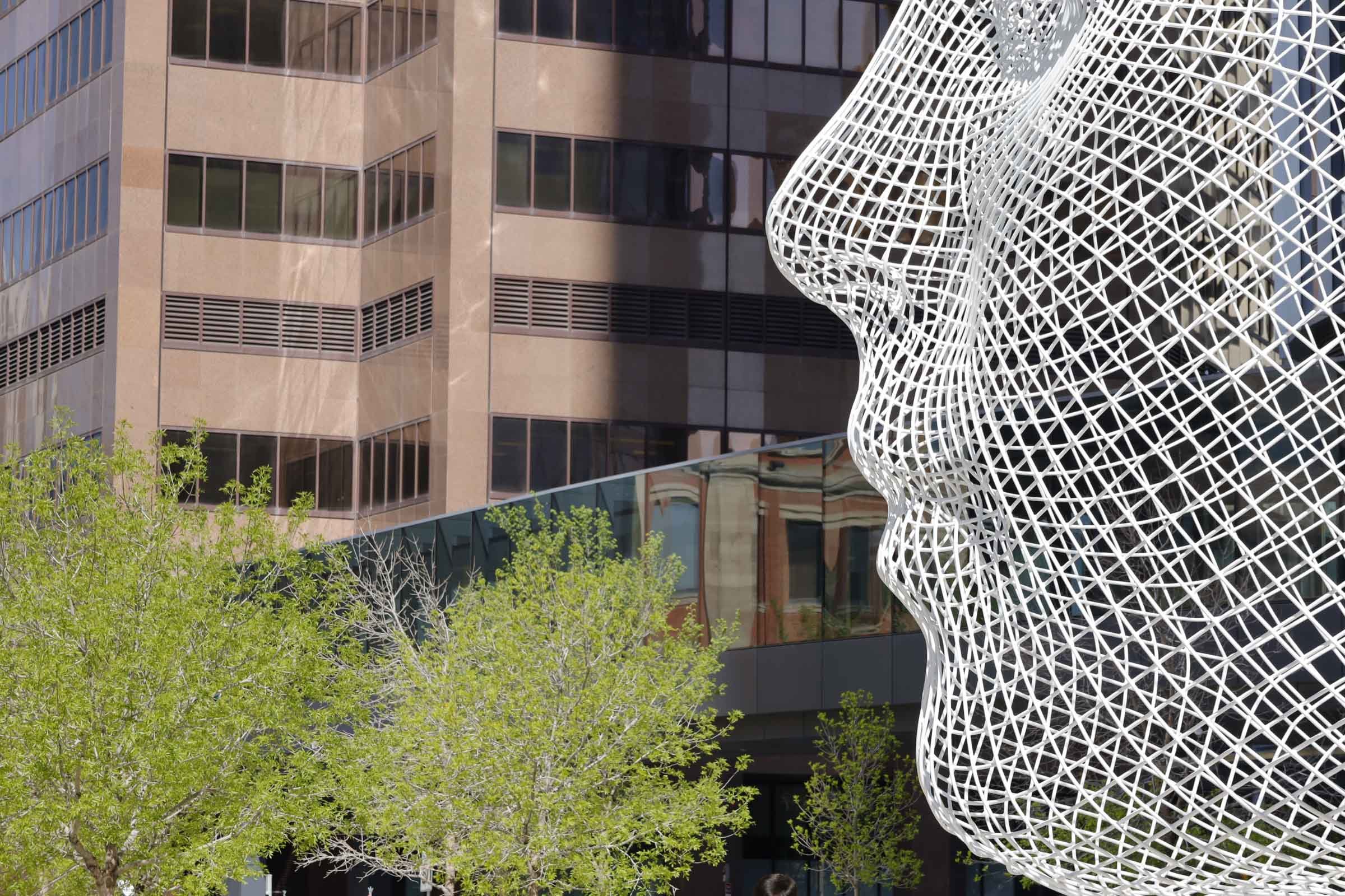 The Calgary Business Owner’s Guide to Image Rights: Who Owns Commercial Photos?