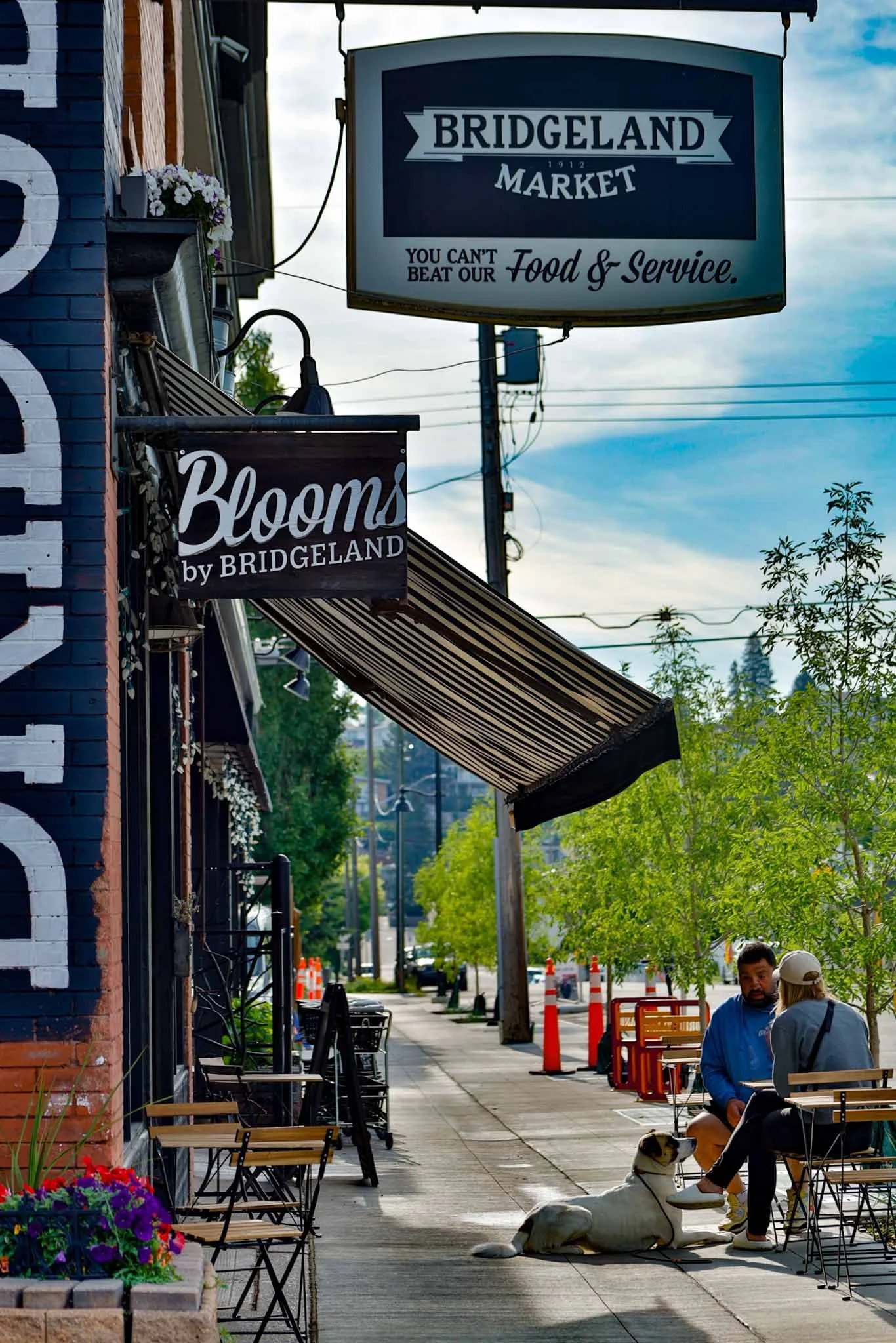 BIA Branding: Visual Strategy for the Bridgeland Community