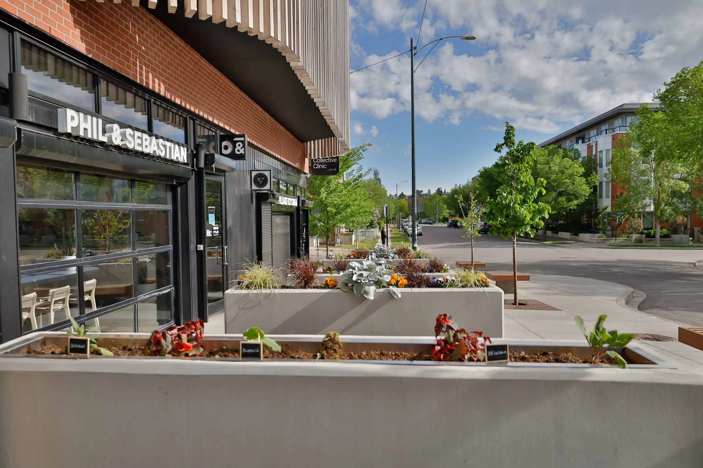 Empty flower planters with young plants outside a modern building on a city sidewalk with trees and parking lot in the background.