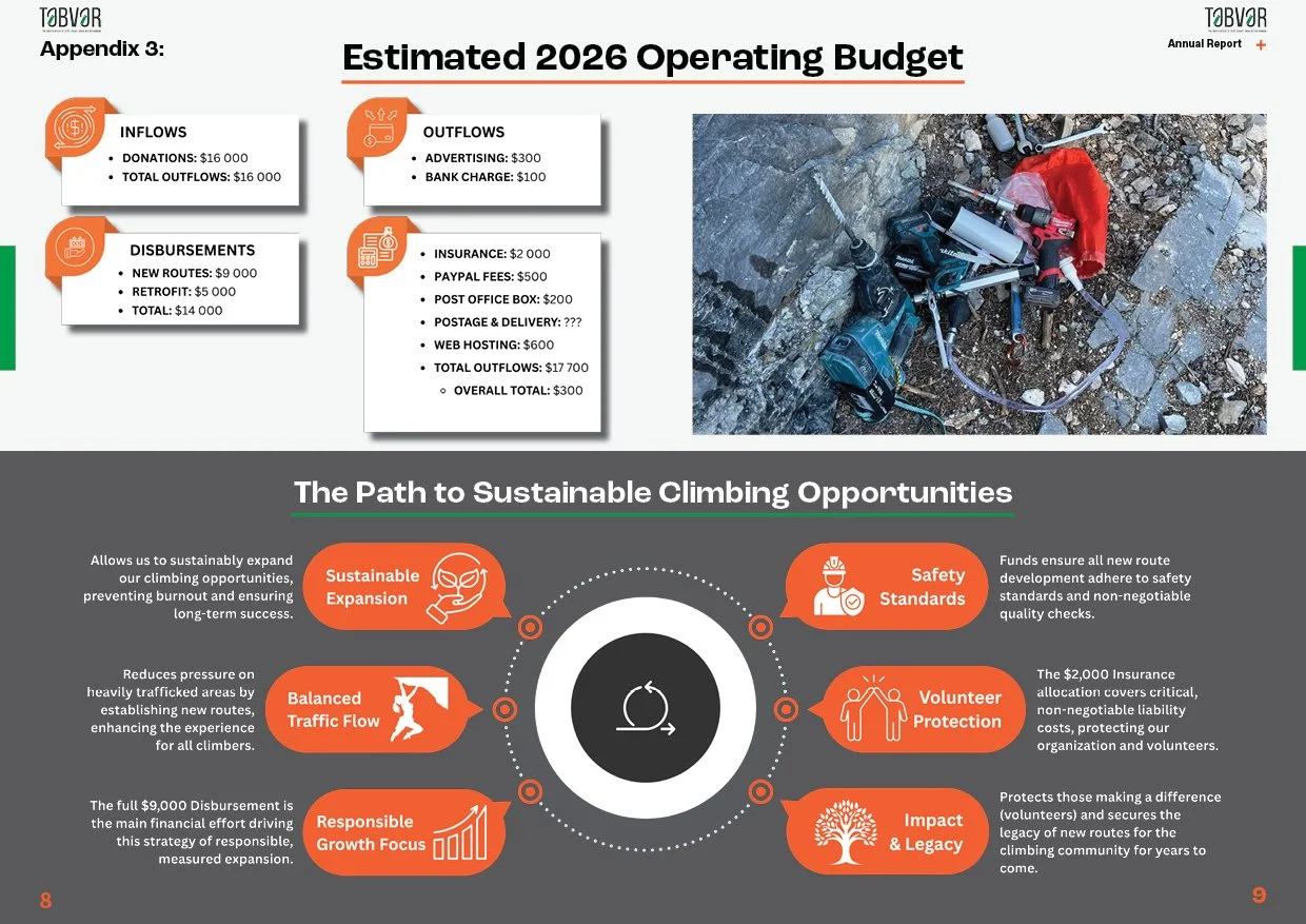 Annual report financial layout design for TABVAR featuring structured tables, readable data visualization, and professional publication design