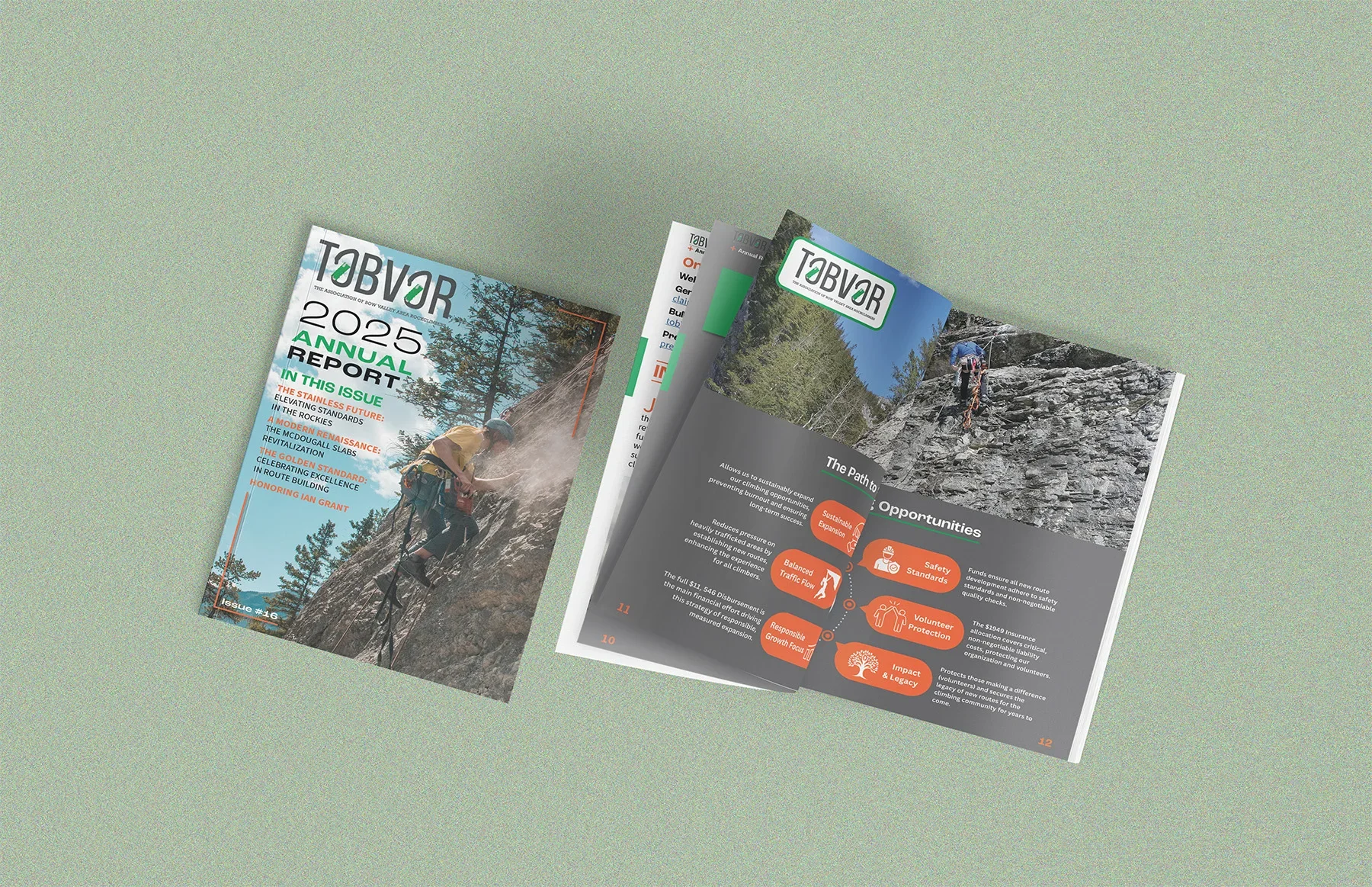 Strategic growth infographic design explaining sustainable climbing opportunities and responsible expansion for a local association