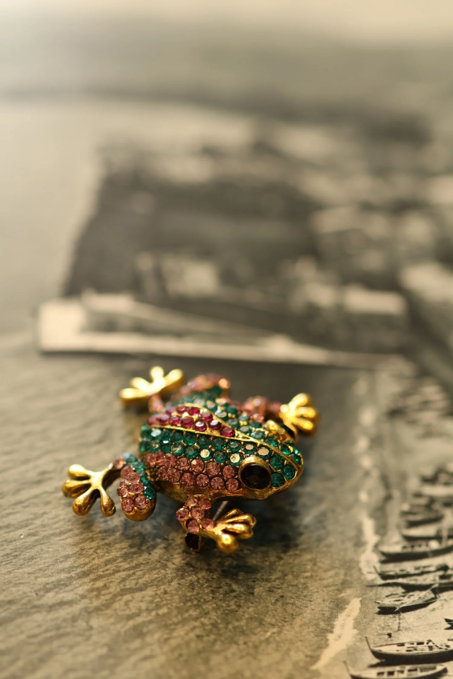 RAINBOW FROG Brooch