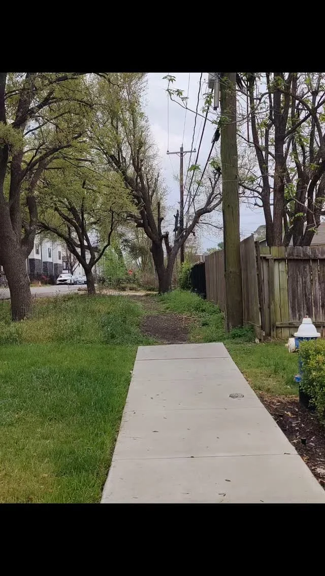 What do you see?
We see a sidewalk which wants to go somewhere.
But the Mayor wants to ban more sidewalks.
Link in our bio.
#sidewalktosomewhere
