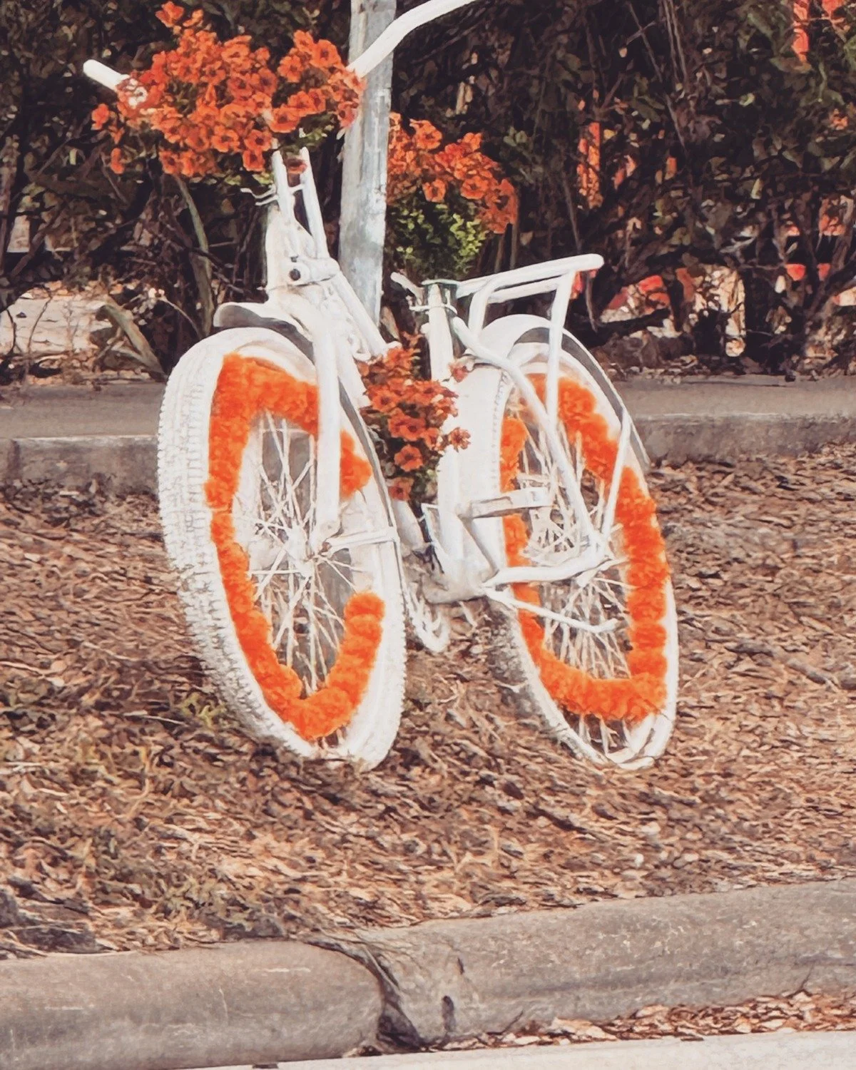Dia de los Muertos Ghost Bike.
Waugh at W. Gray