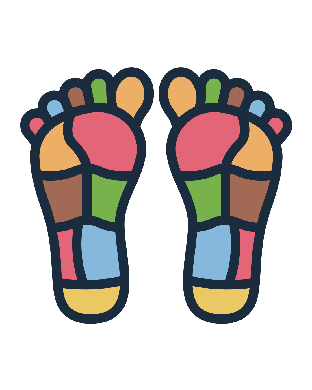Reflexology massage therapy foot map used during treatment sessions