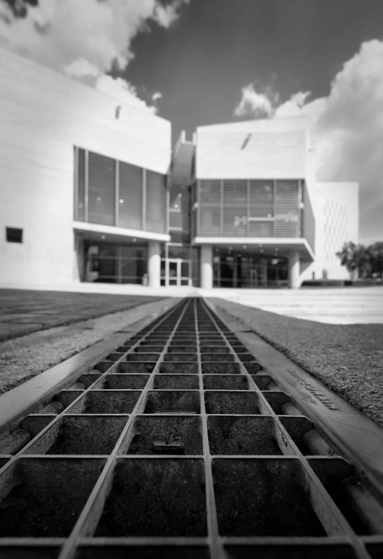 _DSF2932_1 small.jpg