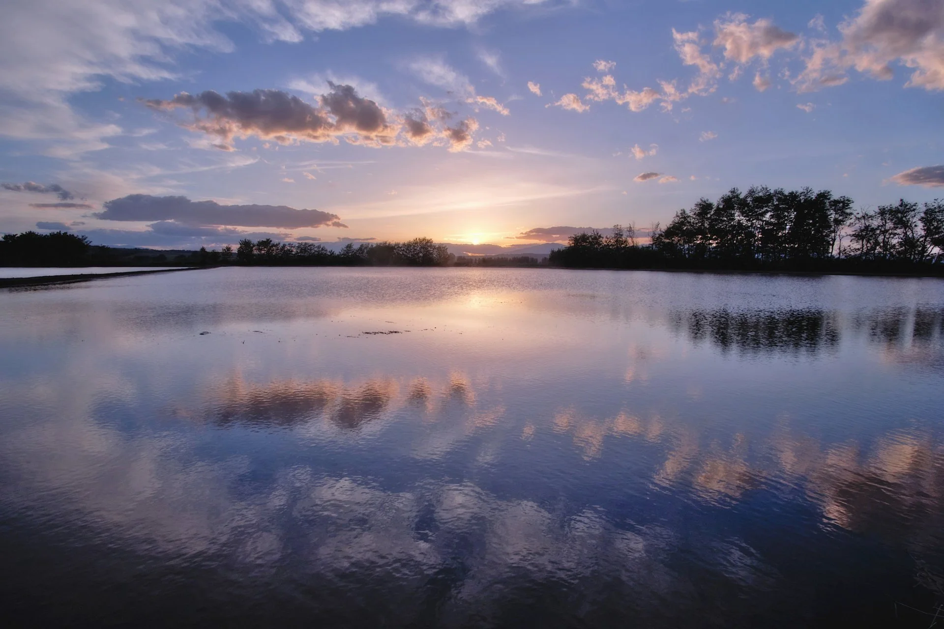 DSCF2457-4-1 small.jpg