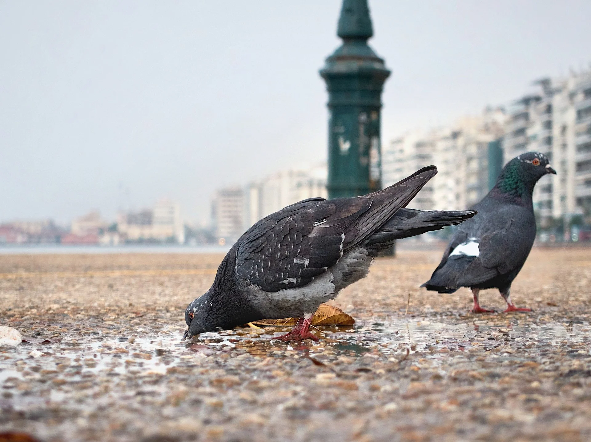 DSCF8632-01-1 small.jpg