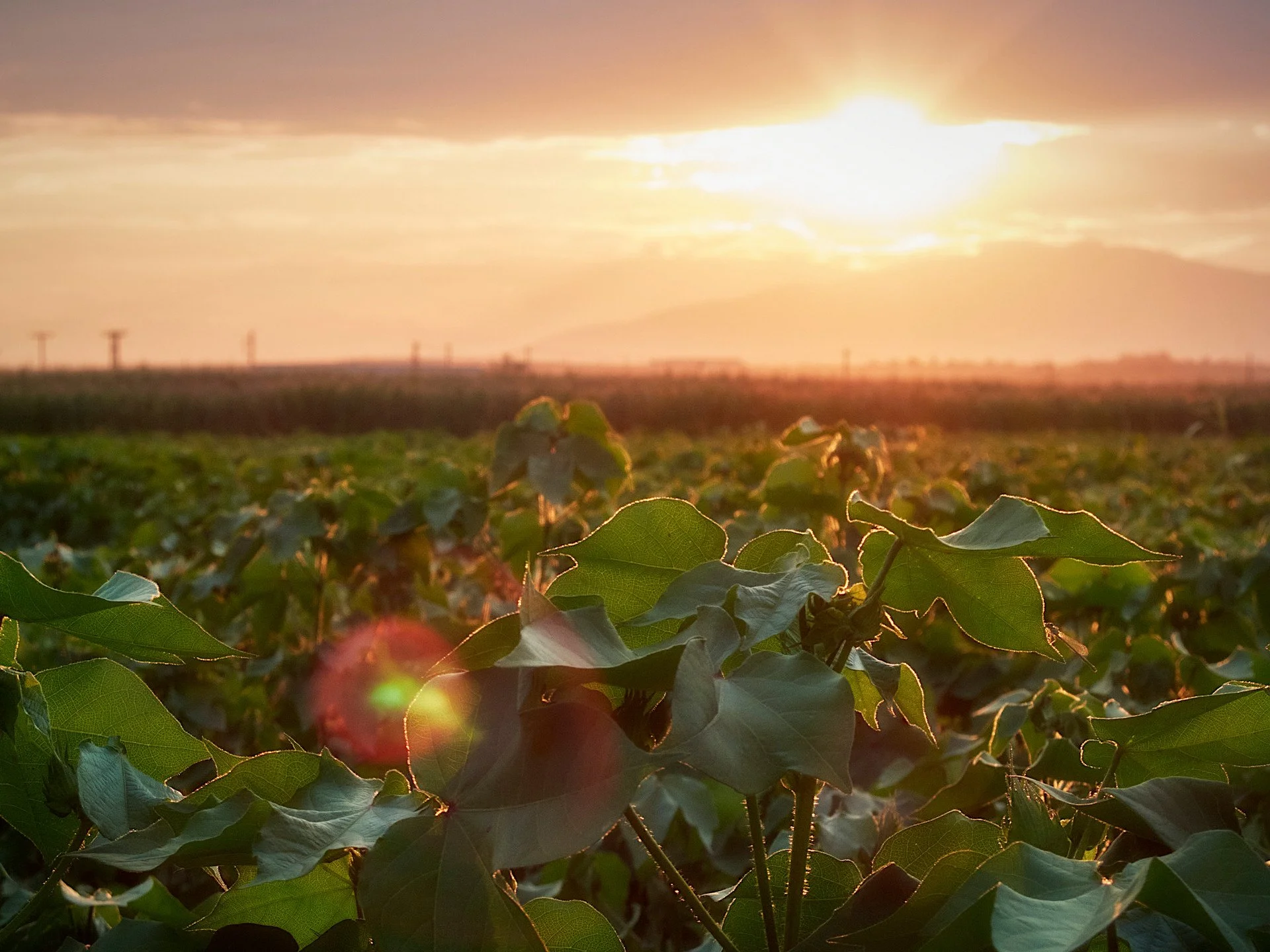 DSCF0032-1 small.jpg