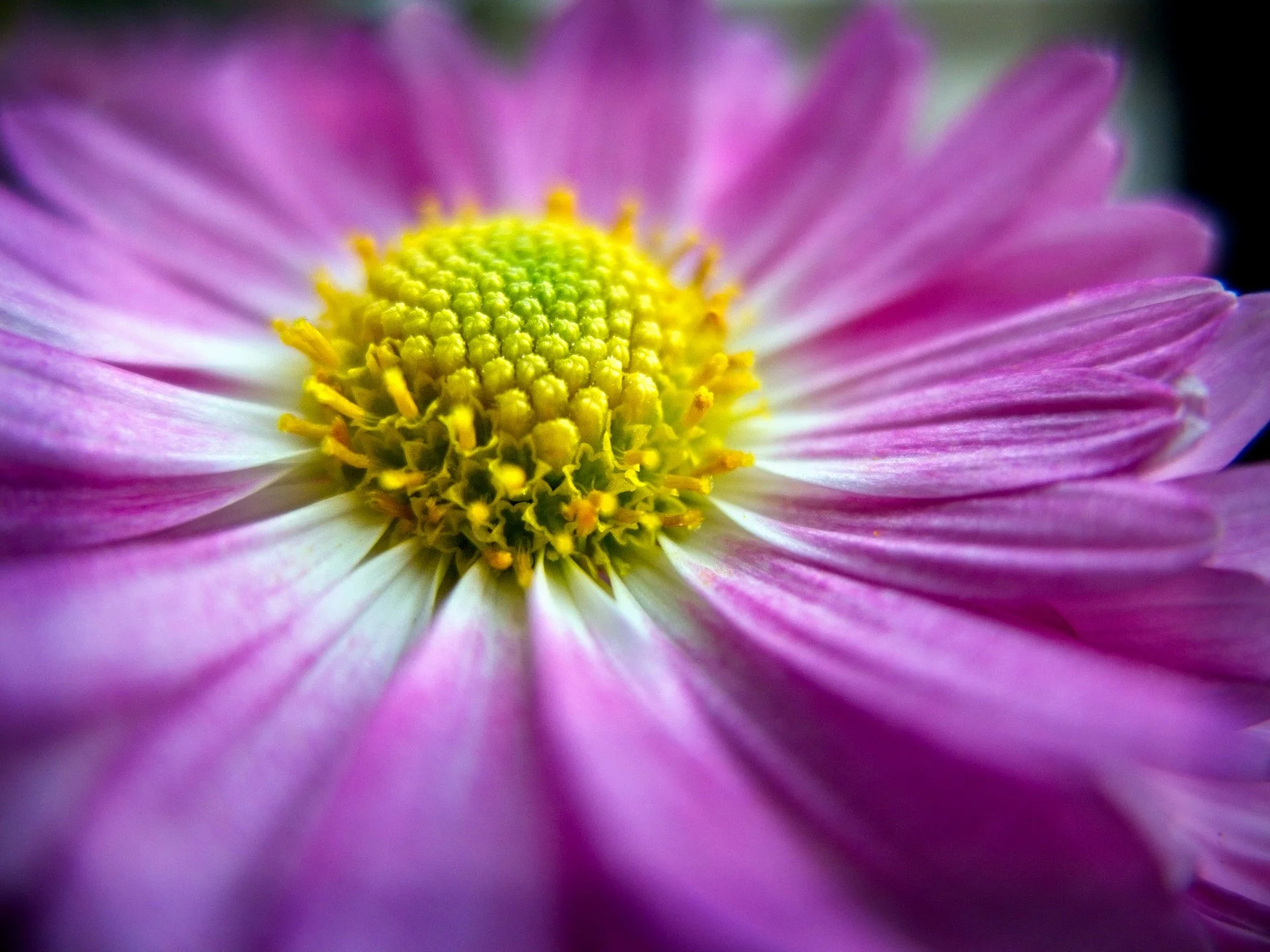 DSCF8347-2 small.jpg
