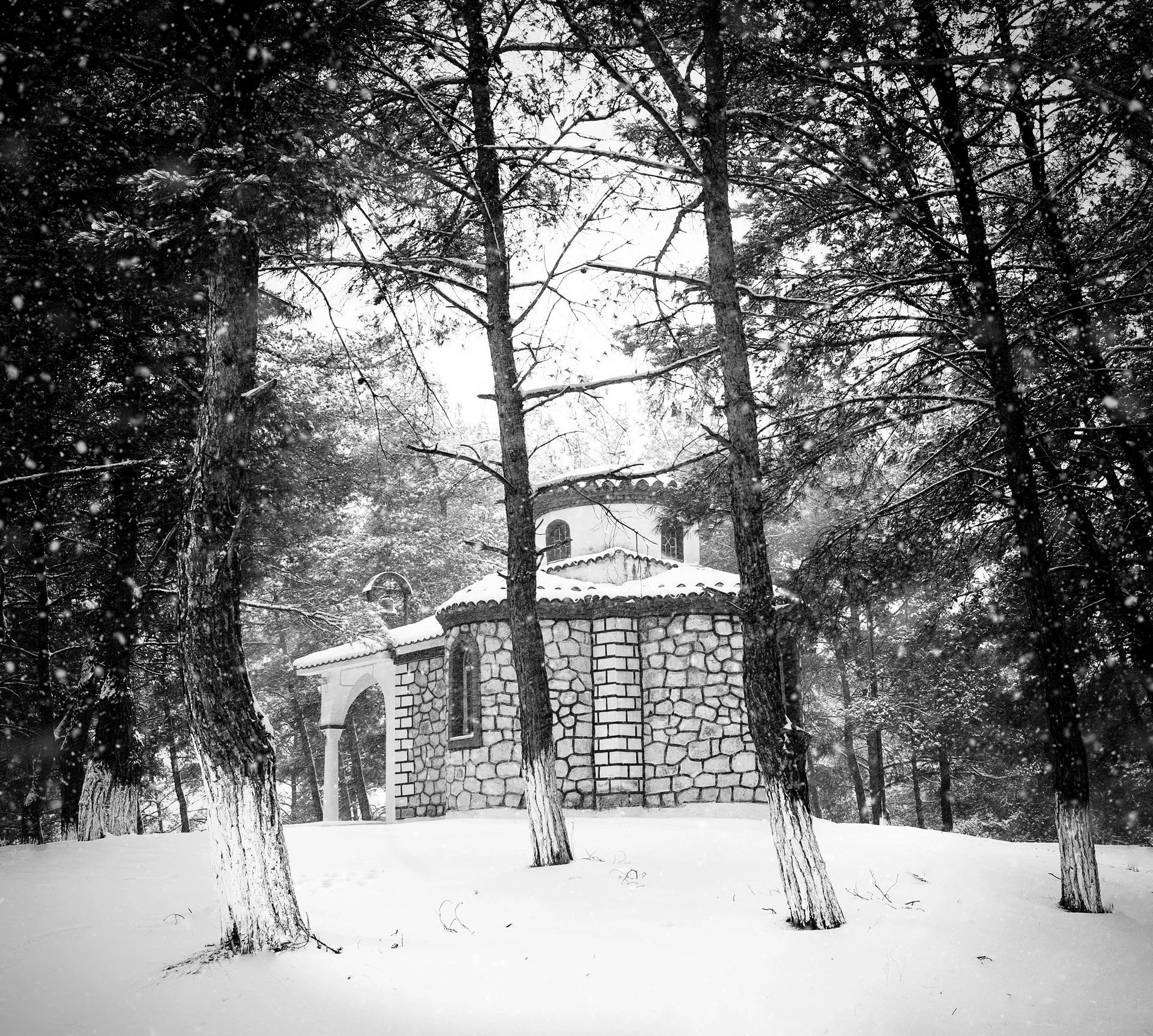 DSC_8854-3 small.jpg