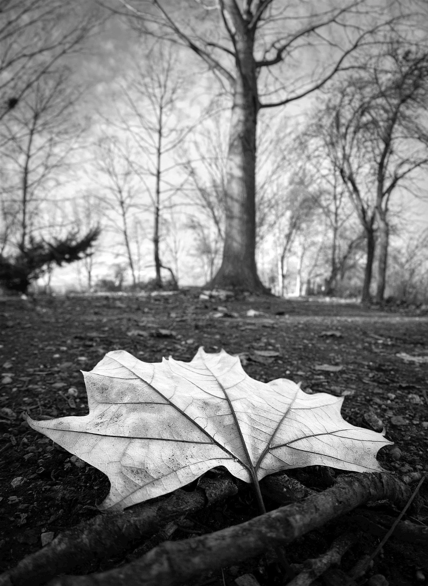 _DSF7297-1-1 small.jpg