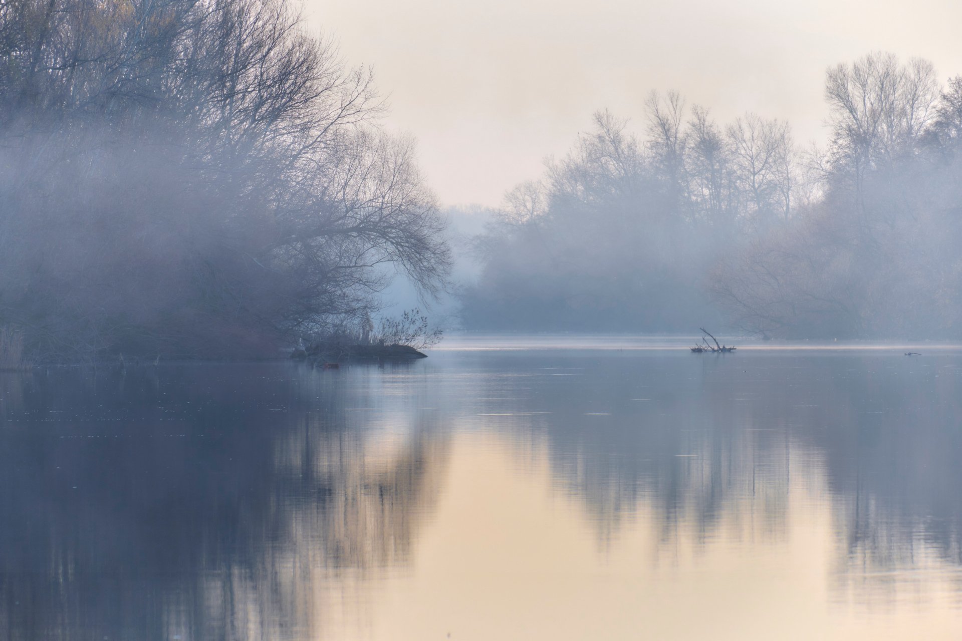 Foggy Morning.jpg