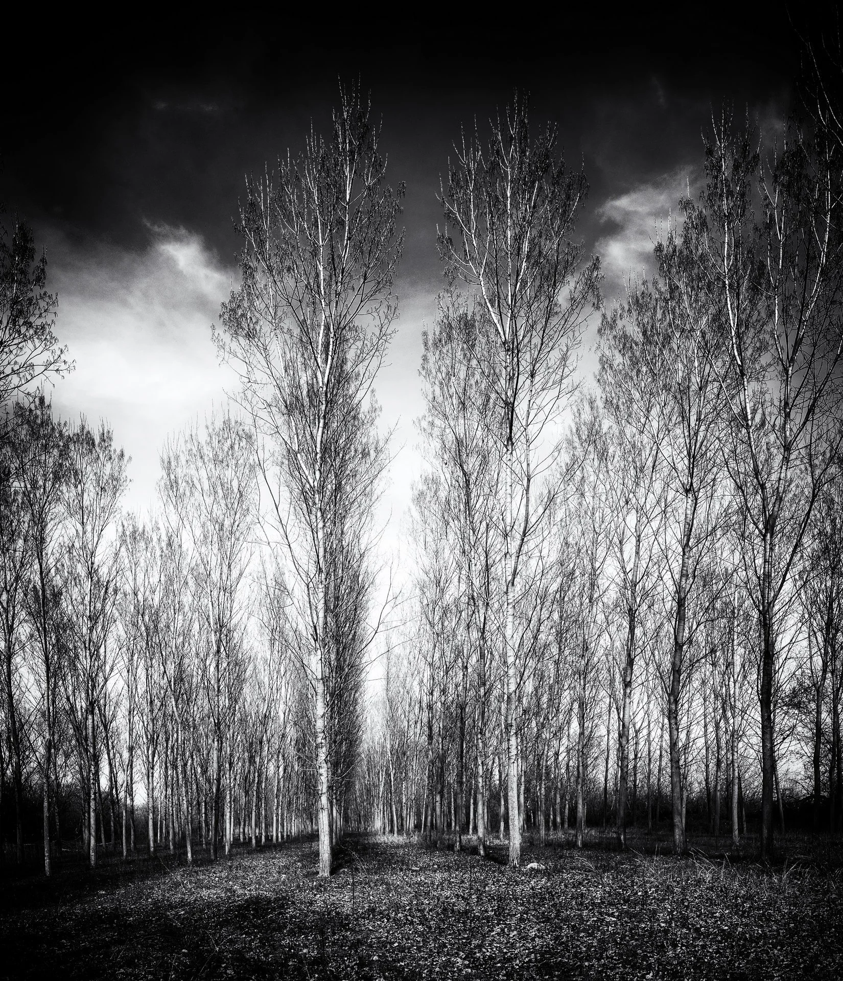 DSC_1176-Pano-2-Edit-bw small.jpg