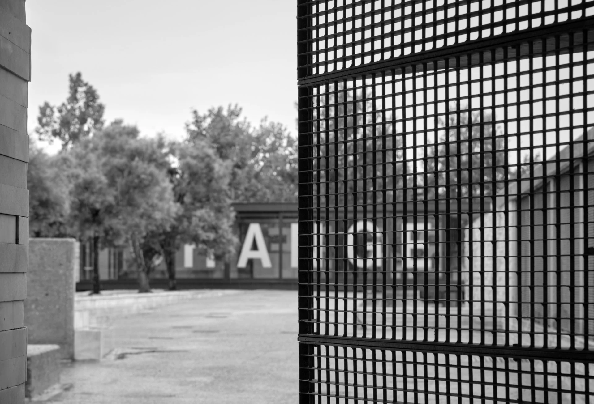 _DSF6257_C small.jpg