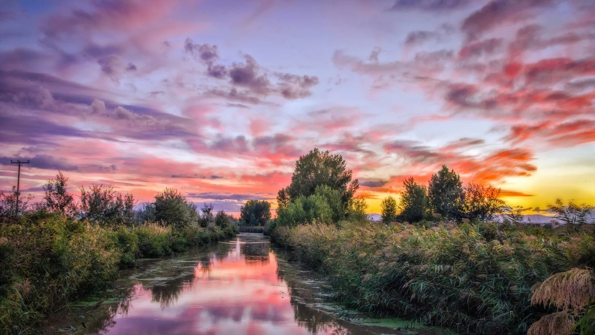 DSC_4746-Edit-1-2-1-2-03 small.jpg