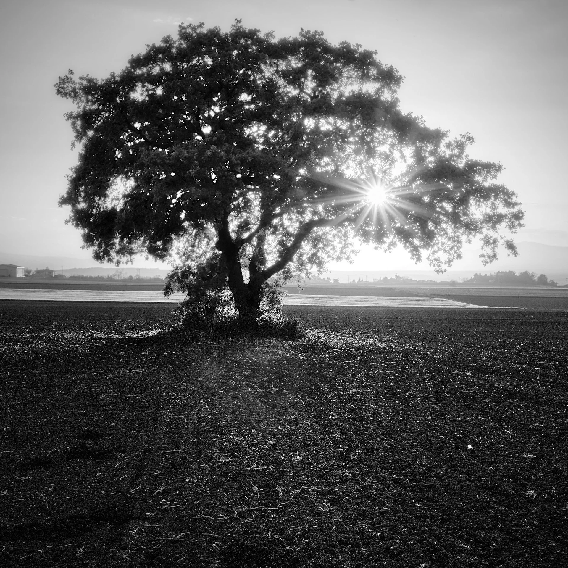 _DSF4540-03-1 small.jpg