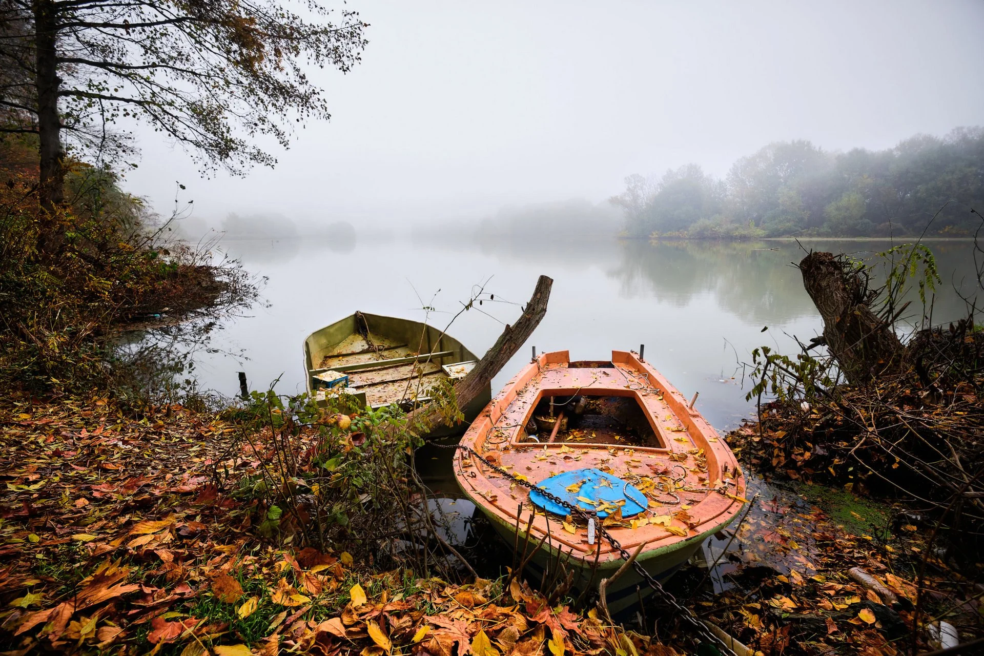 Boats in the mist