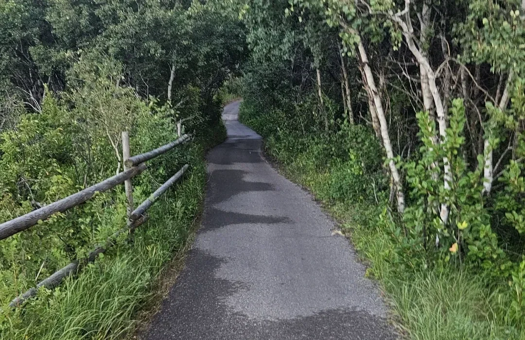Walking Trails