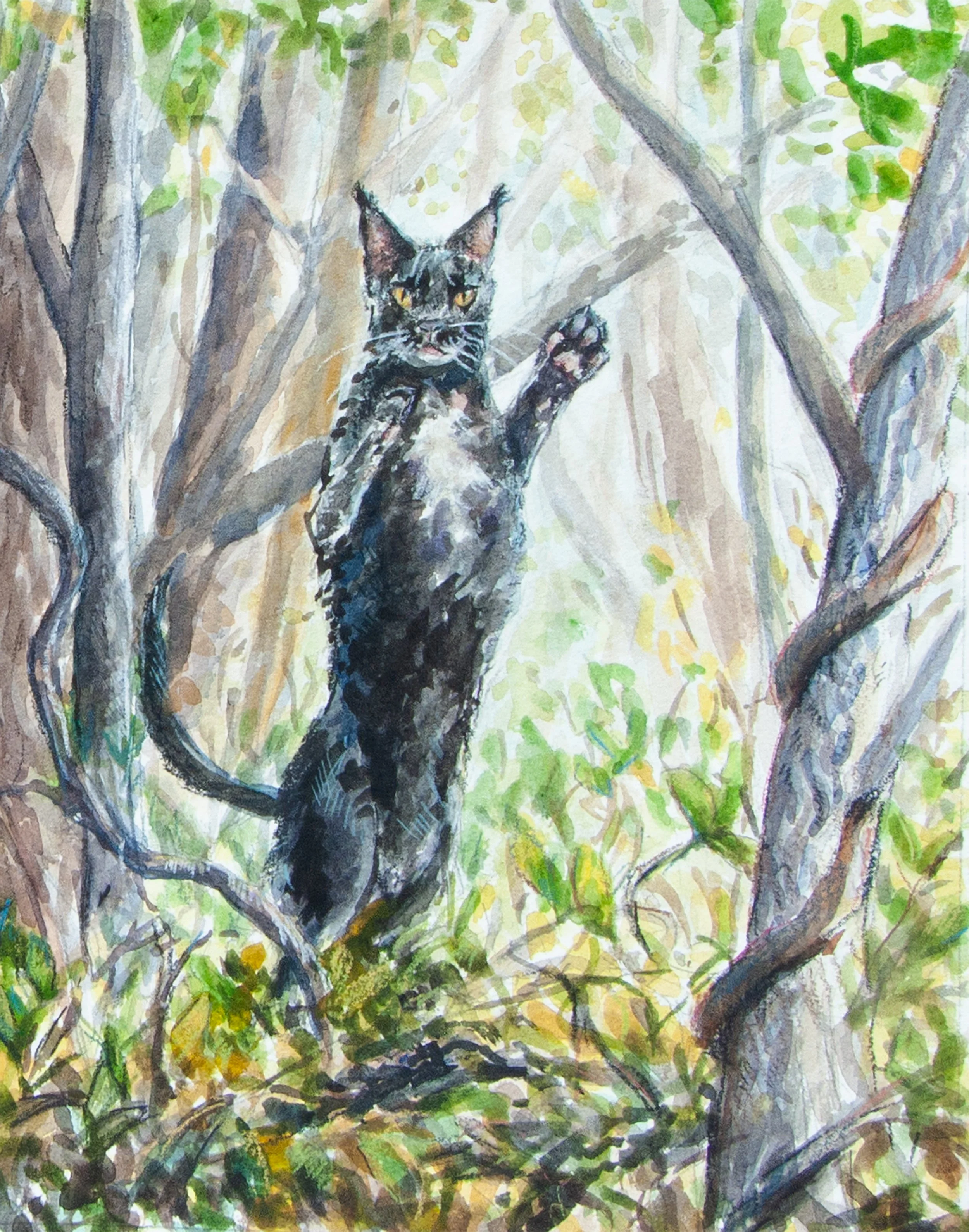 The King of Cats
watercolor on paper