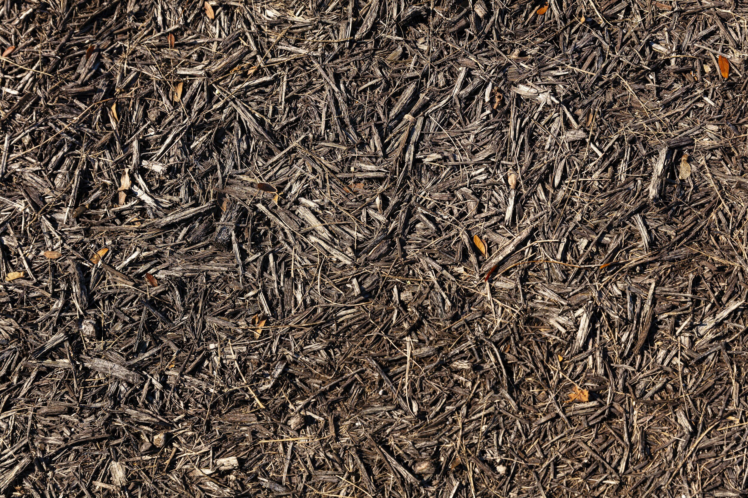 Mulch Installation