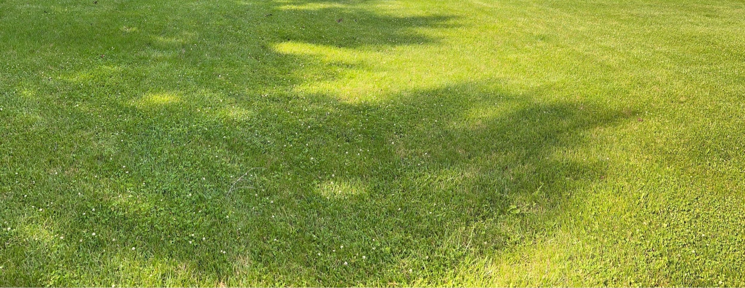 Lawn & Turf Care
