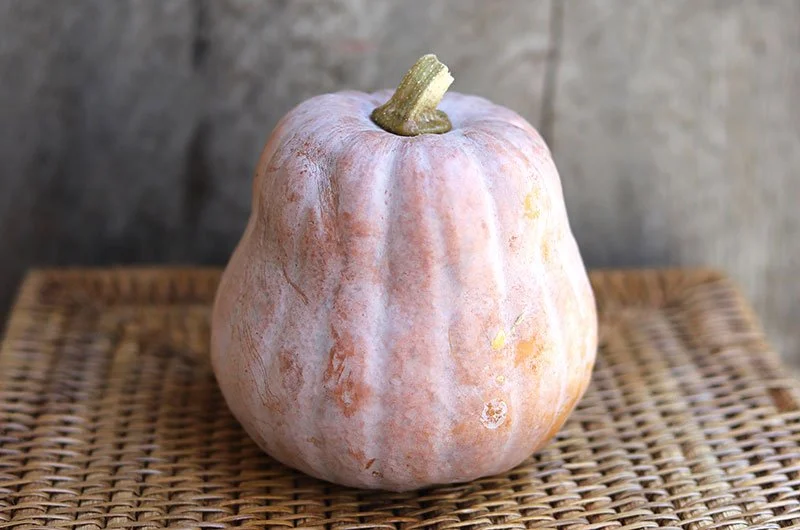 apkoginutwhole.jpg