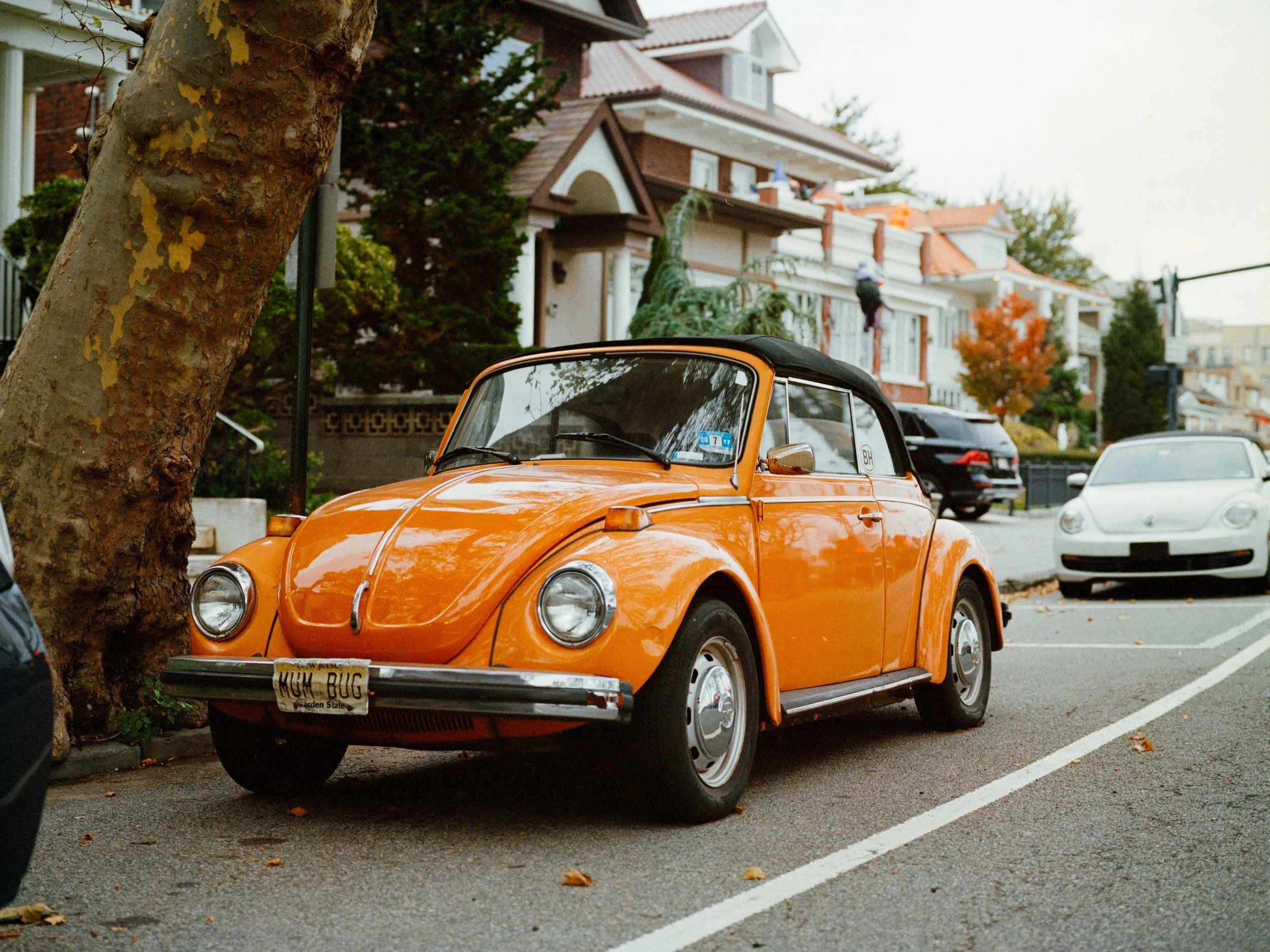 Portra 400 - Duke, BBQ, High-13.jpg