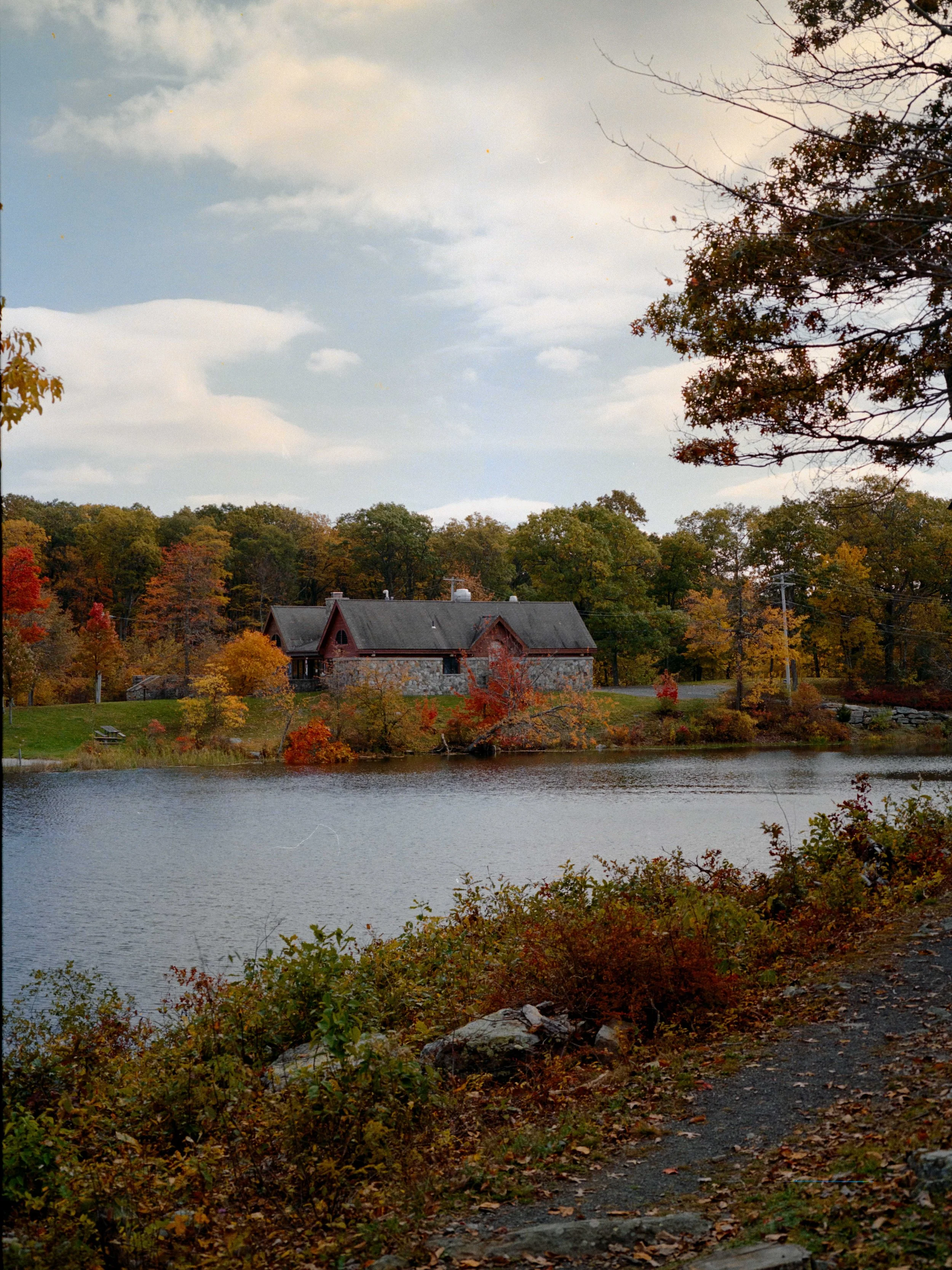 Portra 400 - Duke, BBQ, High-9.jpg