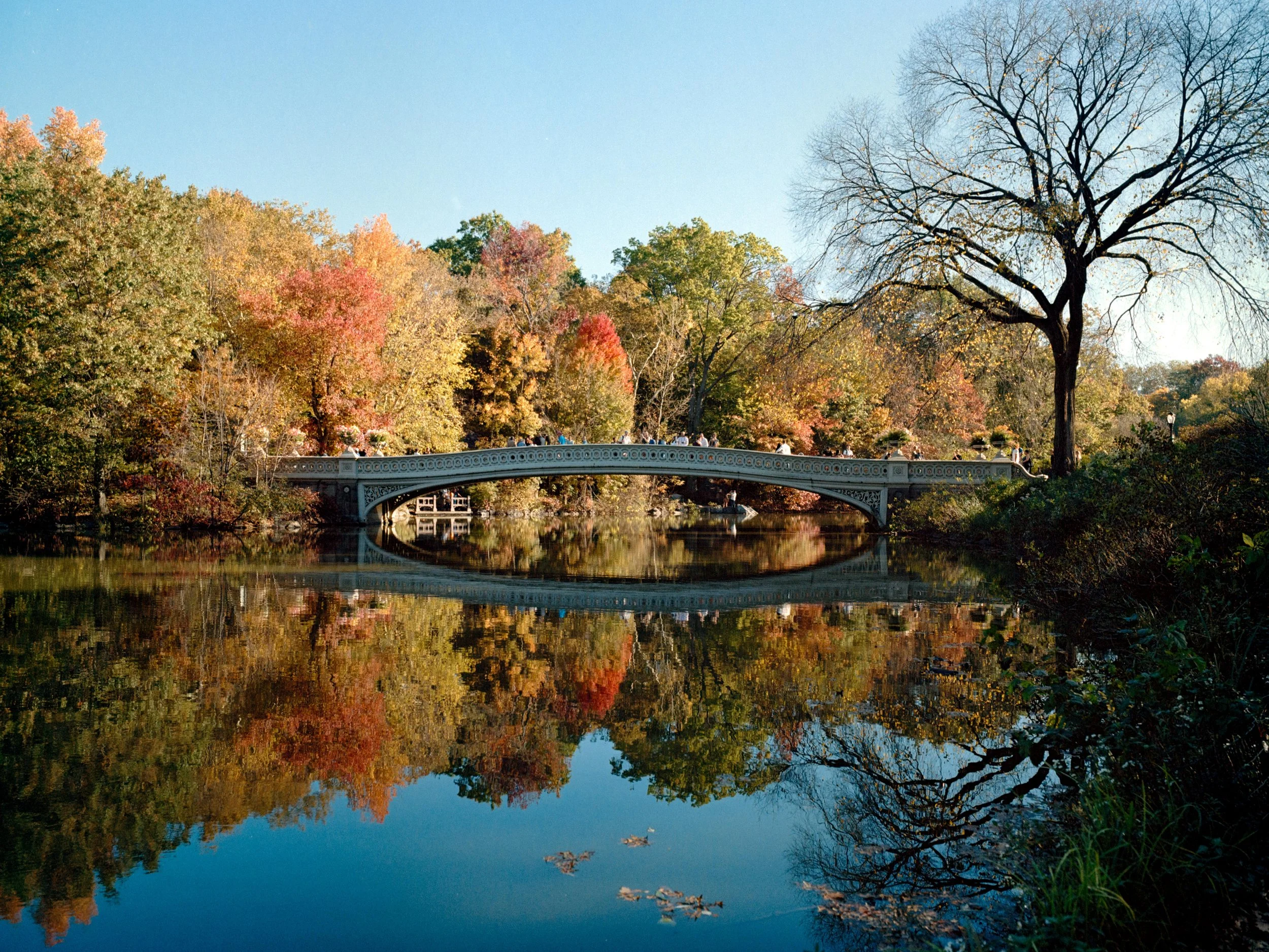 Portra 400 - Central Park Fall-14.jpg