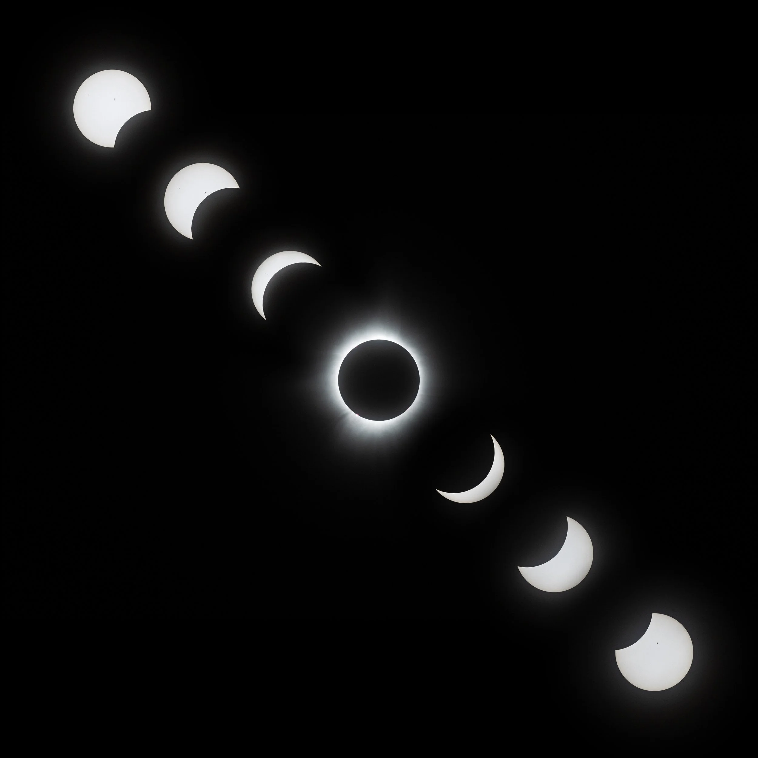 Closeup Photo Composite.jpg